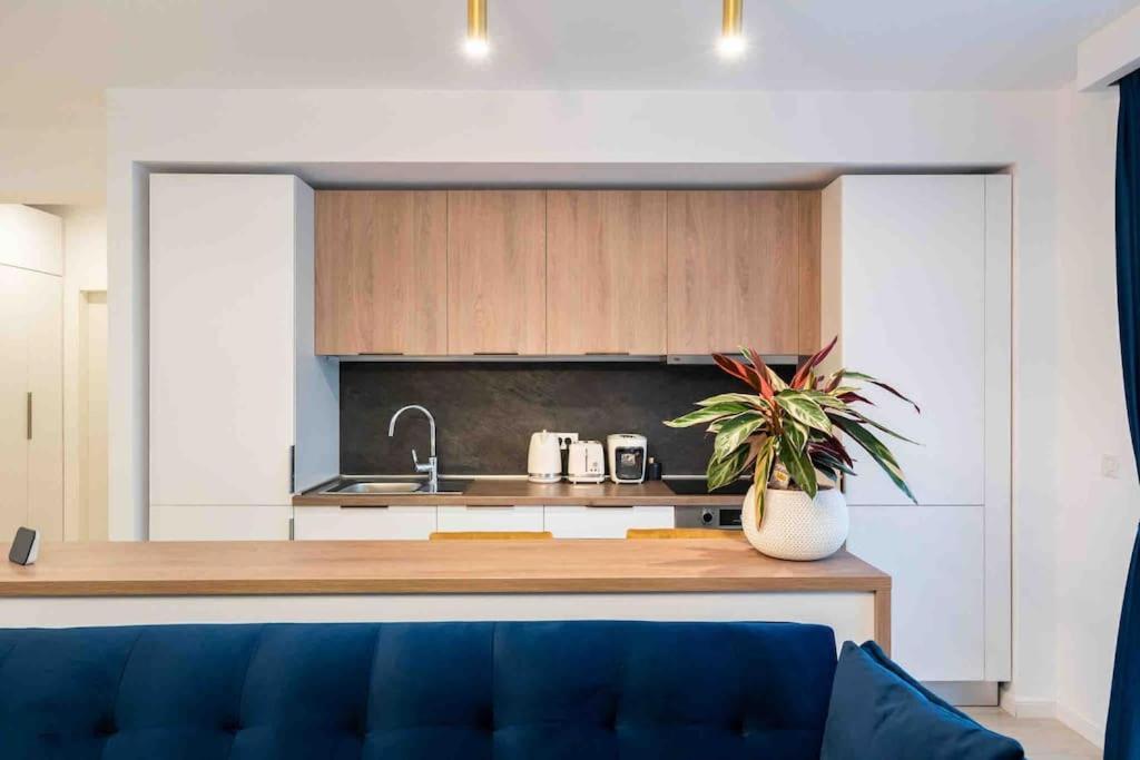 Apartament Blue Velvet Bukareszt Zewnętrze zdjęcie